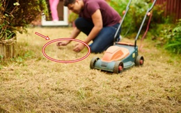 Đang cắt cỏ, người đàn ông đụng trúng vật thể lạ: Chuyên gia xem ảnh lập tức phong tỏa nguyên con phố