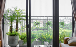 NASA khuyên hãy trồng cây này trong nhà: Giúp loại bỏ chất độc mà WHO cảnh báo gây ung thư hàng đầu