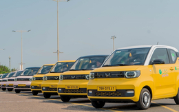 Taxi điện rẻ nhất Việt Nam bất ngờ tung ra dịch vụ cực hấp dẫn: Thuê xe kèm lái 50km giá 390.000 đồng