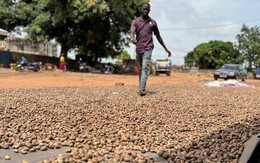 Mỹ đang mua hàng chục nghìn tấn 'sản vật' của Việt Nam: là khách quen số 1 trong 10 năm liền, khó bị ảnh hưởng bởi thuế đối ứng