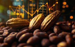 Việt Nam sở hữu loại "kim cương đen" cực kỳ cao cấp: Cả thế giới chỉ 20 nước được công nhận!