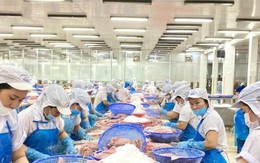 Nước nào tiêu thụ cá tra Việt Nam lớn nhất thế giới?