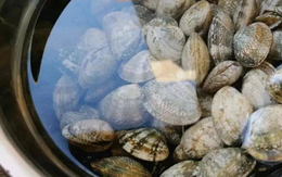 Rửa ngao ốc, người cho ớt, người cho rượu: Tất cả đều sai, người bán hải sản đã dạy tôi mẹo thực sự hiệu quả này