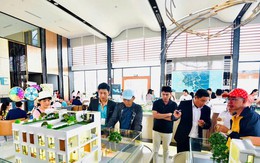 Sáp nhập TPHCM với Bình Dương và Bà Rịa - Vũng Tàu: Có nên xuống tiền mua đất?