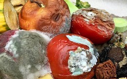 Thực phẩm mốc chỉ cần vứt bỏ hay cắt phần hỏng là vẫn dùng được? Những dấu hiệu nhận biết không phải ai cũng rõ