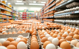 Khủng hoảng trứng tại Mỹ, một công ty tăng 4 lần lợi nhuận, ngồi trên 1 tỷ USD tiền mặt, khiến chính phủ phải điều tra