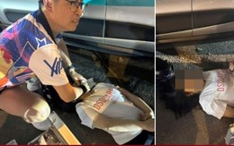 Bác sĩ cứu cô gái gặp nạn giữa đường và dòng chữ sau xe khiến ai cũng nghẹn ngào