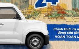 Nóng: VinFast úp mở dòng xe mới, dân mạng nghi là đối thủ của "su cóc" huyền thoại