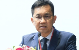 Giấc mơ dang dở của doanh nhân Việt kiều Hồ Nhân