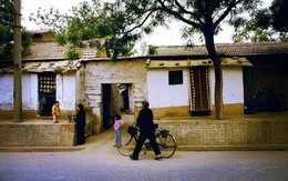 Năm 1972, anh em tôi tới nhà chú để vay 20kg gạo, khi mở chiếc túi ra, mẹ tôi đã rất sốc