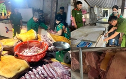 Tiêu hủy gần 800kg thịt heo ôi thiu, nhiễm dịch tả lợn châu Phi