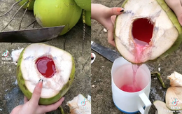 Loại quả mùa hè rẻ tiền có mặt khắp Việt Nam, không chỉ giải khát mà còn được ưa chuộng vì mát gan, thải độc