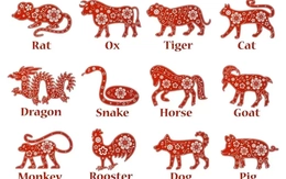 Hai con giáp đầu tuần ảm đạm nhưng cuối tuần tài lộc ào ào về túi