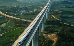 Phó Thủ tướng: Việt Nam không phân biệt giữa doanh nghiệp Nhà nước hay tư nhân việc tham gia đầu tư và phát triển các dự án đường sắt hiện đại, tốc độ cao
