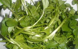 Việt Nam có loại rau chống ung thư tốt nhất thế giới, tốt cho sức khỏe tim mạch và xương khớp