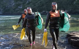 Phát hiện dấu hiệu 'tiến hóa' đặc biệt ở những nữ thợ lặn huyền thoại Hàn Quốc