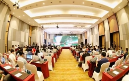 Giải bóng đá 7 người vô địch quốc gia 2025 được tổ chức quy mô lớn nhất