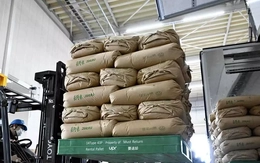Nhật Bản cân nhắc tăng nguồn cung gạo dự trữ