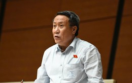 Vi phạm nhỏ, doanh nhân có thể được tại ngoại