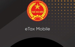Tạm dừng ứng dụng thuế điện tử từ 23-5 đến 15-6