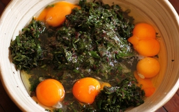 Việt Nam có 1 loại lá phủ đầy lông, mọc bờ bụi: Là kháng sinh tự nhiên chữa viêm dạ dày, đã ngon còn bổ