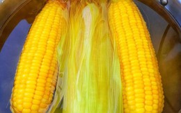 Luộc ngô người nghiệp dư chỉ dùng nước, chuyên gia lại thêm hai thứ, để nguội không bị cứng lại rất ngọt!