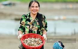 Việt Nam có loại thủy sản nhiều sắt hơn thịt bò, Trung Quốc bỏ triệu đô để mua: Hạ mỡ máu, trị tiểu đường