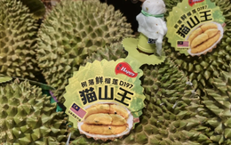 Đối thủ sầu riêng mới nổi chính thức gia nhập thị trường Trung Quốc: Muốn đe dọa thị phần Thái Lan, Việt Nam nhưng chuyên gia nhận xét còn thiếu một điều quan trọng