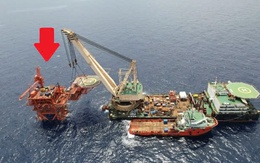 Tin vui: Việt Nam có "kho báu" từng được Úc, Malaysia định giá chỉ 1 USD, sau 30 năm lên tới 160.000 tỷ