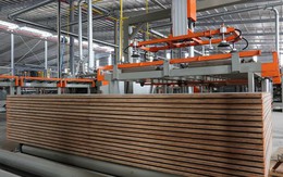 Tỷ phú Trần Đình Long bắt đầu sản xuất một sản phẩm mới toanh, mục tiêu 2030 đứng top 3 doanh nghiệp lớn nhất cả nước