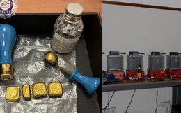 Tịch thu số vàng, bất động sản, tiền mặt trị giá 225 tỷ từ hai ‘sinh viên quốc tế’