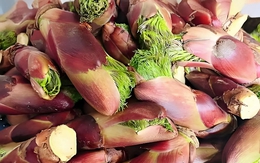 1 loại rau mọc dại ở Việt Nam nhưng được người Trung Quốc “quý như vàng”: Giá ngang thịt bò, bổ tựa nhân sâm nhưng ít người biết