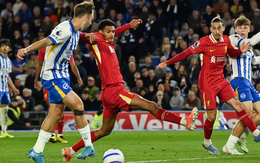 Tân vương Liverpool tiếp tục gục ngã, Brighton mơ vé châu Âu