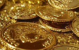 Anh thợ sửa ống nước phát hiện kho báu chứa 30 kg tiền vàng