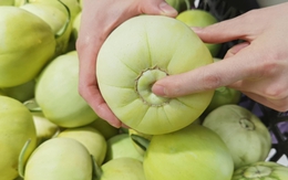 Cách chọn dưa lê ngọt giòn như mật: Bỏ túi 5 bí kíp vàng từ lão nông, chọn phát ăn ngay!