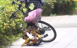 Cụ ông rơi từ chung cư xuống trúng người đi xe đạp, cả 2 đều tử vong