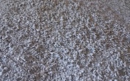 'Vàng xám' của Việt Nam nhận tin vui siêu lớn: Thuế xuất khẩu giảm mạnh còn 5%, nước ta là trùm khu vực ASEAN