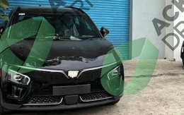 Cặp xe VinFast đã đến nước đông dân nhất thế giới: Màu sơn 'không dành để bán', tiết lộ điều gì?