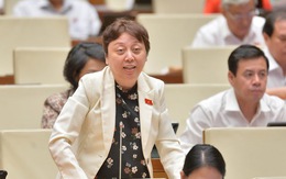 ĐB Phạm Khánh Phong Lan: Thanh tra mà "rầm rộ" thì không còn yếu tố "bất ngờ"