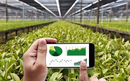 Trung Quốc khiến thế giới ngỡ ngàng khi bê robot, AI đi… trồng rau giữa sa mạc, khẳng định trình độ công nghệ nông nghiệp vươn đến top đầu toàn cầu