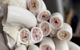 Vì sao cơ quan chức năng TP HCM chưa thể kết luận vụ lòng xe điếu?