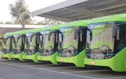 Cần loại bỏ gần 700 xe buýt chạy dầu ở Việt Nam mỗi năm
