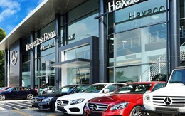 Haxaco muốn bán khu đất hơn 6.200 m2 với giá tối thiểu 1.130 tỷ đồng