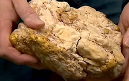Dùng máy dò kim loại bất ngờ đụng trúng tảng đá chứa 2,6 kg vàng