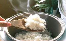 Cách bảo quản cơm nguội của người Nhật