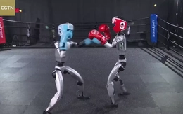 Video robot Trung Quốc tung đòn chuẩn bị cho trận boxing chưa từng có
