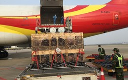 Một ngành kinh doanh tỷ USD của Mỹ nếm ‘trái đắng’ thương chiến: Xuất khẩu sang Trung Quốc ‘đóng băng’, đơn hàng bị hủy hàng loạt, nguy cơ mất thị phần vào tay đối thủ