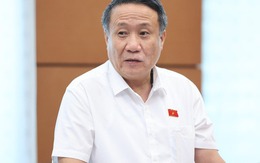 Đại biểu Quốc hội: Có người lỗ hàng trăm triệu trong vài ngày khi mua vàng