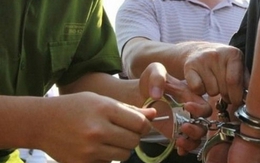 Phạt môi giới bất động sản Phạm Hoàng Chi 8 năm tù