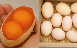 Thực hư thông tin về các loại trứng gà 2 lòng đỏ, vỏ nhiều màu sắc